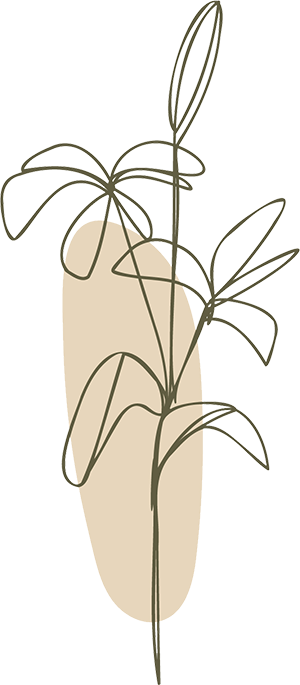 Heilsamsein-Praxis-fuer-Gesundheit-und-Wohlbefinden-Blume2 Heilsamsein - Praxis für Gesundheit und Wohlbefinden
